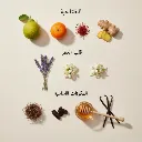 11.webp